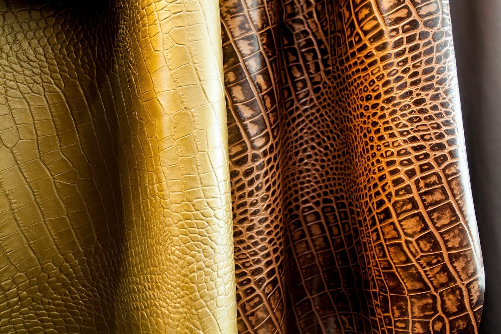 Motif Exotic Embossed