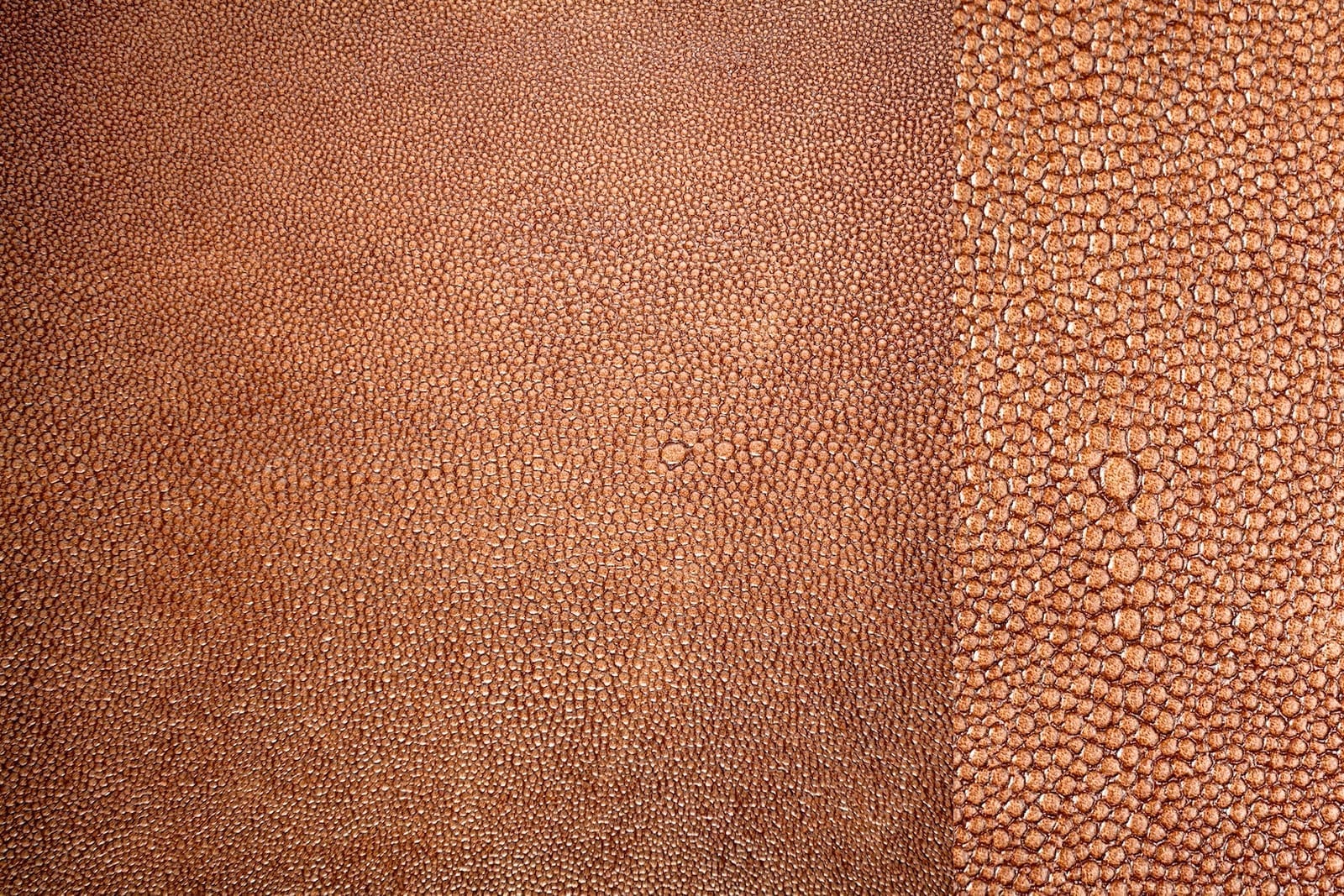 Detail Kulit Pari Krem